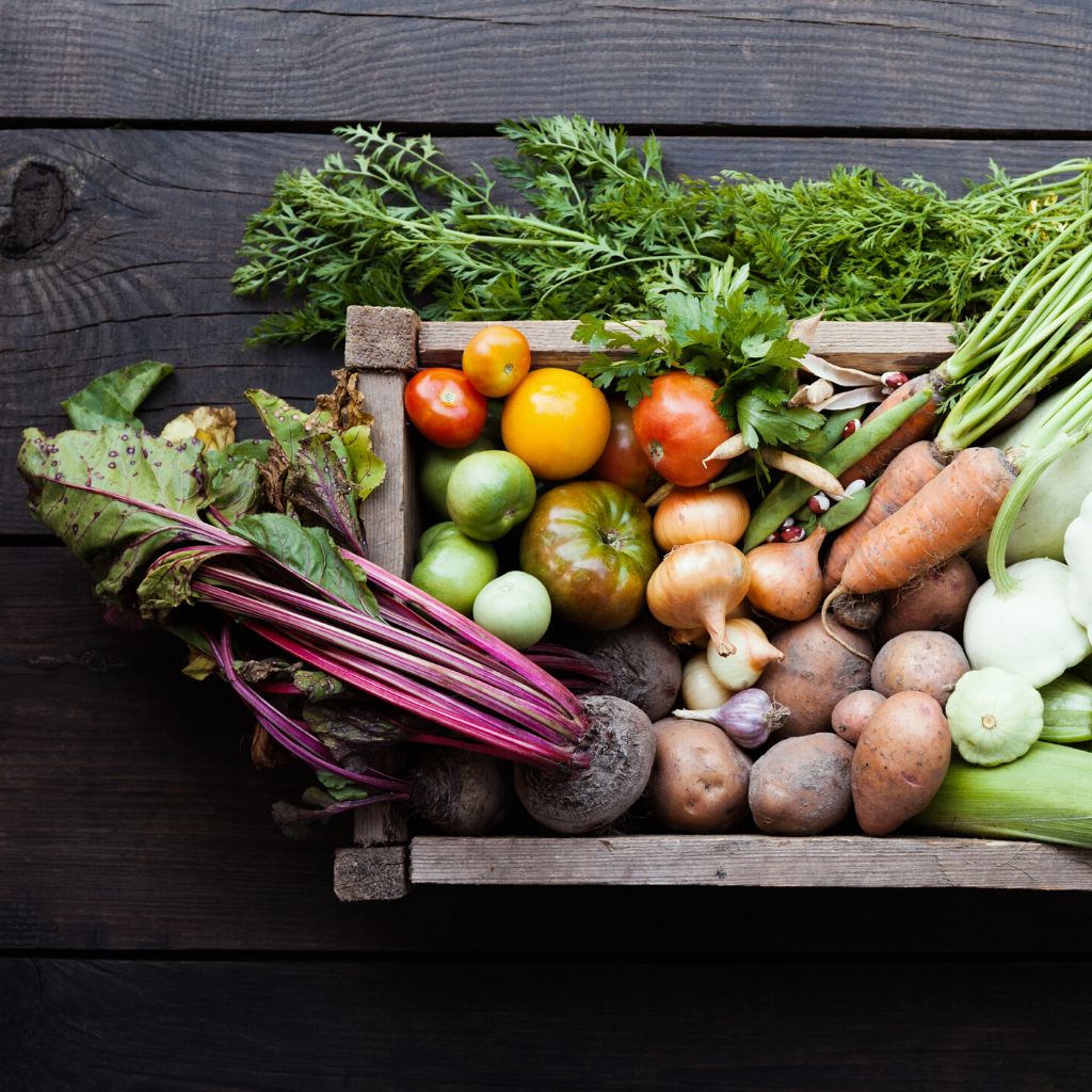 5 Vitamins and Minerals to support your immune system